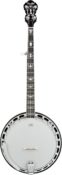 Fender FB-58 Banjo Top