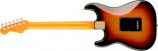 Fender Stevie Ray Vaughan Stratocaster Back