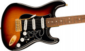 Fender Stevie Ray Vaughan Stratocaster Body