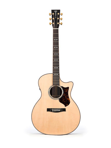 Martin GPCPA1 Plus Acoustic Guitar
