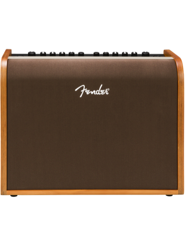 Fender Acoustic 100 Combo Amp