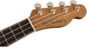 Fender Zuma Concert Ukulele Headstock