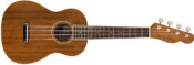 Fender Zuma Concert Ukulele Side