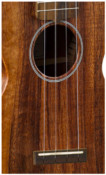 Martin C1K Concert Ukulele Body