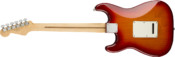 Fender Player Stratocaster Plus Top Aged Cherry Burst Maple Fingerboard Back