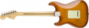 Fender American Performer Stratocaster Honey Burst Rosewood Fingerboard Back