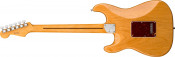 Fender American Ultra Stratocaster Aged Natural Rosewood Fingerboard With Hardshell Case Back