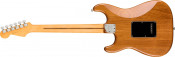 Fender American Pro II Stratocaster Roasted Pine Maple Fretboard With Hardshell Case Back