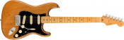 Fender American Pro II Stratocaster Roasted Pine Maple Fretboard With Hardshell Case Side