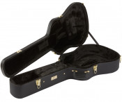 Fender PM-1E Natural Acoustic-Electric Guitar All Solid Wood Hardshell Case