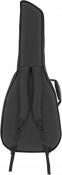 Fender FAC610 Classical Gig Bag Back