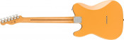 Fender Player Plus Nashville Telecaster Butterscotch Blonde With Gig Bag Back