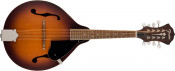 Fender PM-180E Mandolin With Gig Bag Side