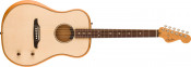 Fender Highway Dreadnought Spruce Top With Gig Bag Large